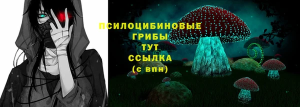 apvp Усмань