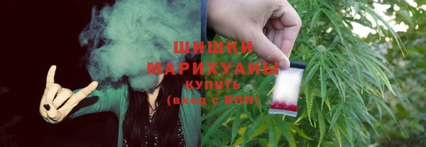 стаф Богородицк