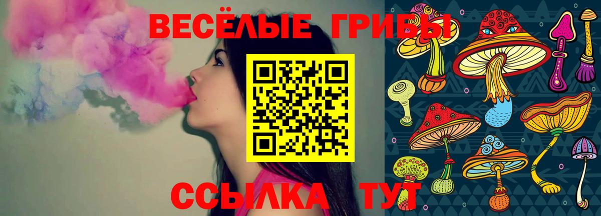 Псилоцибиновые грибы Psilocybine cubensis Вятские Поляны