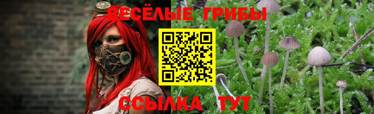 Галлюциногенные грибы мицелий  Вход с VPN  Вятские Поляны 